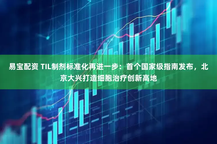 易宝配资 TIL制剂标准化再进一步：首个国家级指南发布，北京大兴打造细胞治疗创新高地